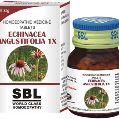 1x-echinacea-angustifolia-sbl-original-imagyeceyzkmzghb.jpeg 1x-echinacea-angustifolia-sbl-original-imagyeceyzkmzghb.jpeg