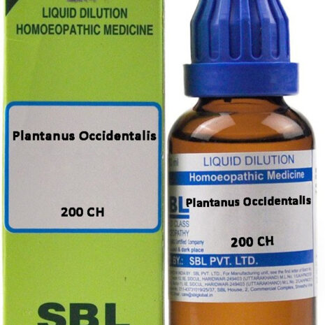 200-ch-plantanus-occidentalis-sbl-original-imafzwjygutp7yqb.jpeg