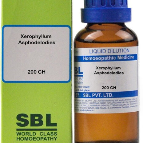 200-ch-xerophyllum-asphodelodies-sbl-original-imagy7zcmkmzdjea.jpeg