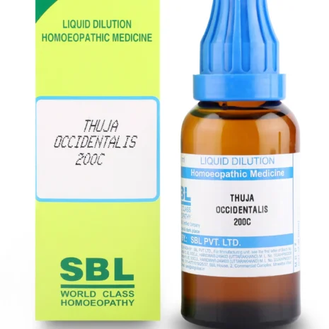 200c-30-thuja-occidentalis-1-sbl-original-imafv96kgqhbzjdh.webp