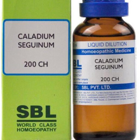 200ch-30-caladium-seguinum-1-sbl-original-imafv96kvvpnudmb.jpeg