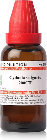 Dr.Willmar Schwabe India Cydonia Vulgaris 200 CH Dilution 30 ml