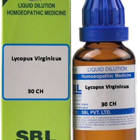 30-ch-lycopus-virginicus-sbl-original-imafzwkp5qw7ppx6.jpeg