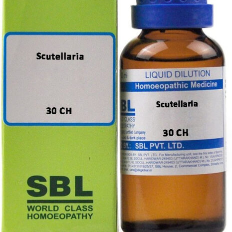 30-ch-scutellaria-sbl-original-imafzwj2kzyjzayh.jpeg