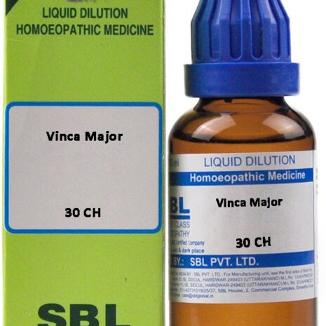 30-ch-vinca-major-sbl-original-imafzwjfeerg8vsp.jpeg
