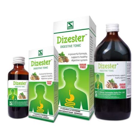 5985-Dizester.jpg