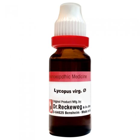 5_166073178_Lycopusvirg.jpg