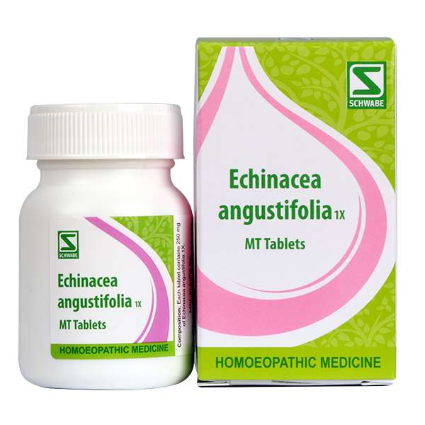 Dr. Willmar Schwabe India Echinacea Angustifolia 1X 20GM