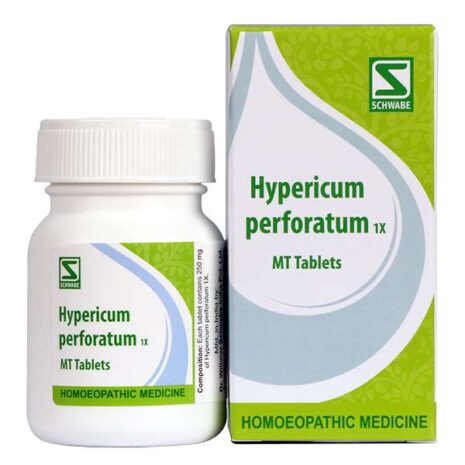 8007-Hypericum-perforatum-1X.jpg