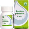 8007-Hypericum-perforatum-1X.jpg