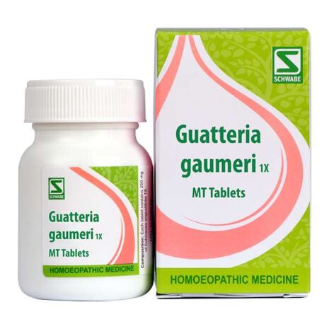 8017-Guatteria-gaumeri-1x.jpg