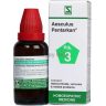8045-Aesculus-Pentarkan.jpg