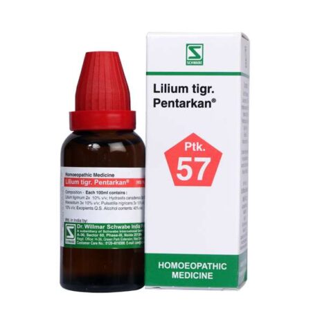 8061-Lilium-tigr.-Pentarkan.jpg