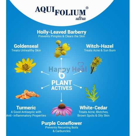 Aquifolium_Ultra_Amazon-03.jpg