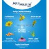 Aquifolium_Ultra_Amazon-03.jpg
