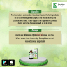 Artboard-1-copy-2.png
