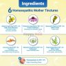 Cleansre-infographics-3.jpg