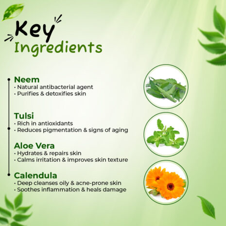 NeemTulsiSoap-03.jpg NeemTulsiSoap-03.jpg