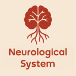 An artistic representation of a brain with tree-like branches, accompanied by the text "Neurological System" below it.