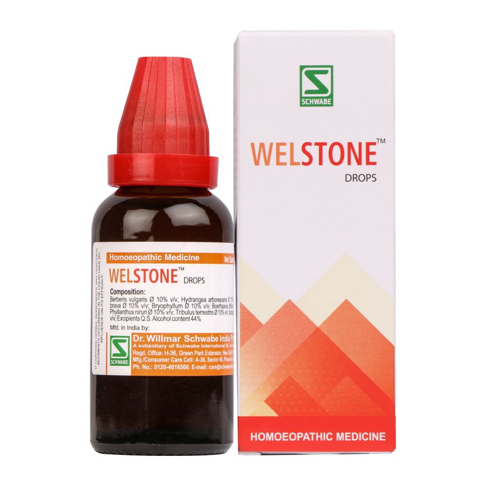 Dr. Willmar Schwabe India Welstone 30ML