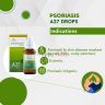 a27_psoriasis_2-min.jpg