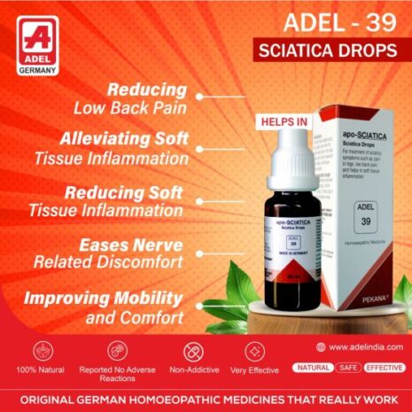 adel-39-2.jpeg