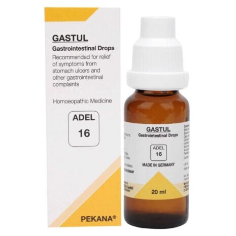 adel_16_1.jpg