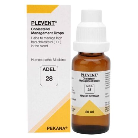 adel_28_1.jpg