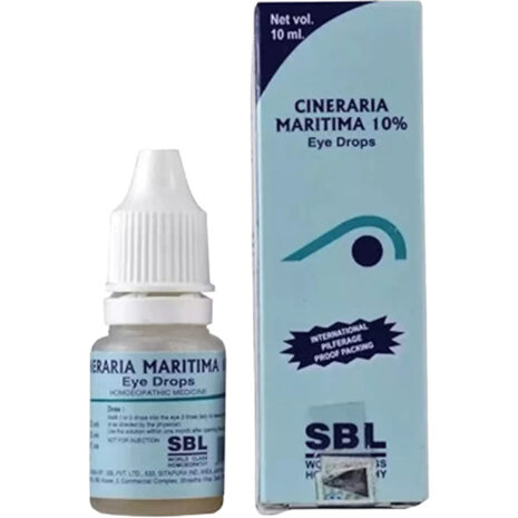 cineraria maritima 10