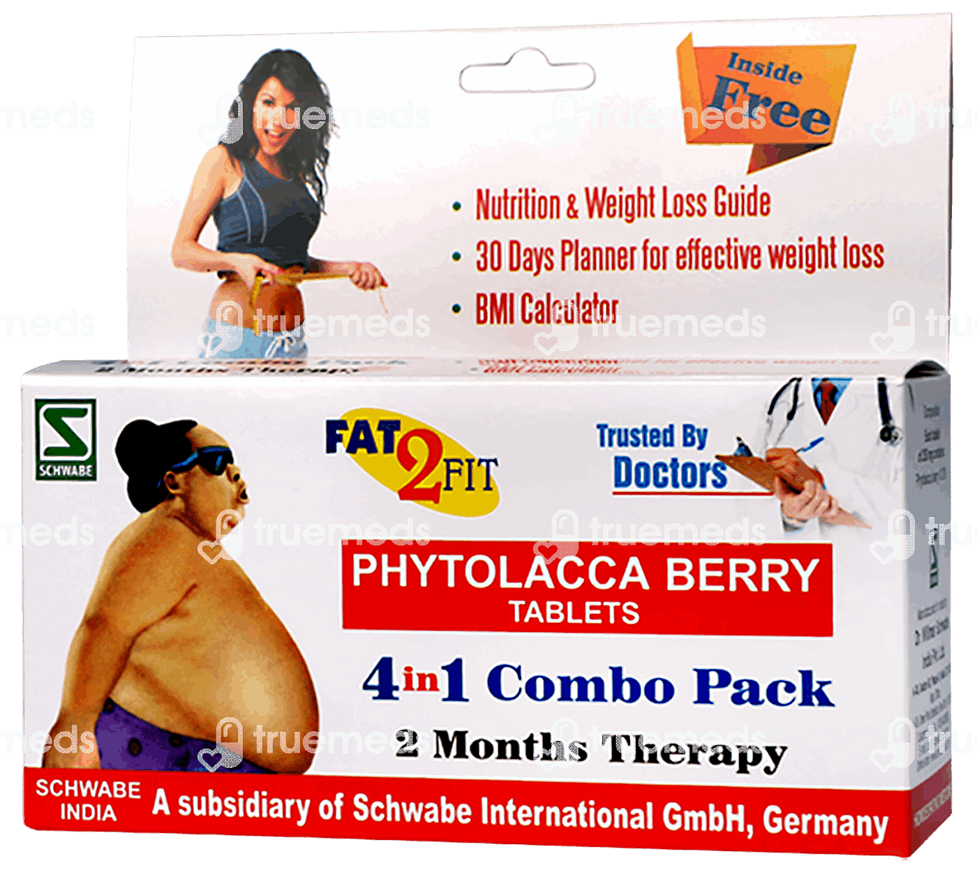 Dr. Willmar Schwabe India Phytolacca Berry – Combi 80GM