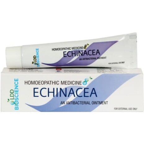 A tube and box of Echinacea antibacterial ointment, labeled as homoeopathic medicine, from LDD Bioscience, intended for external use only.