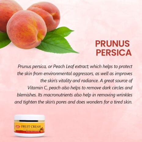 fruit_cream_1_copy.jpg fruit_cream_1_copy.jpg