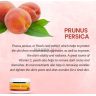 fruit_cream_1_copy.jpg