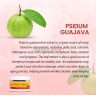 fruit_cream_3_copy.jpg