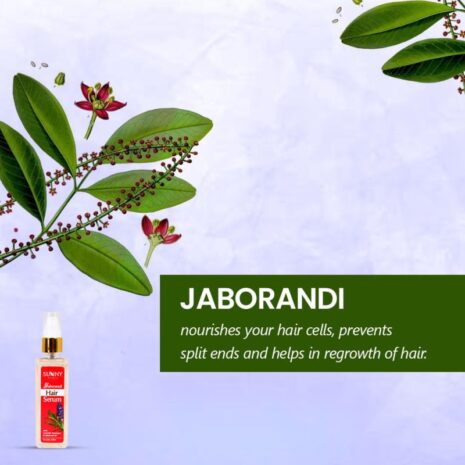 jaborandi-hair-serum_1-copy.jpg jaborandi-hair-serum_1-copy.jpg