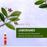 jaborandi-hair-serum_1-copy.jpg