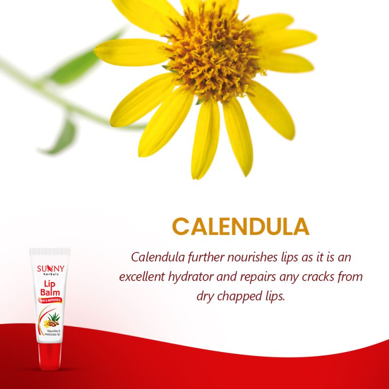 lip_balm__2_copy.jpg lip_balm__2_copy.jpg
