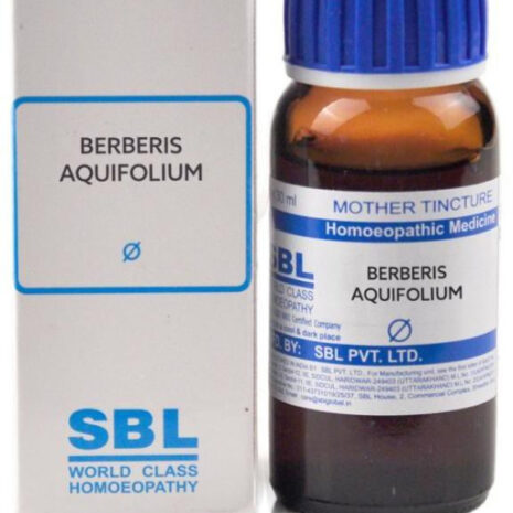 na-30-berberis-aquifolium-1-sbl-original-imafv96k9uhzmudb.jpeg na-30-berberis-aquifolium-1-sbl-original-imafv96k9uhzmudb.jpeg