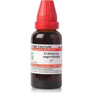 A bottle of Echinacea angustifolia mother tincture with a red cap, labeled as homeopathic medicine, produced by Dr. Willmar Schwabe India Pvt. Ltd.