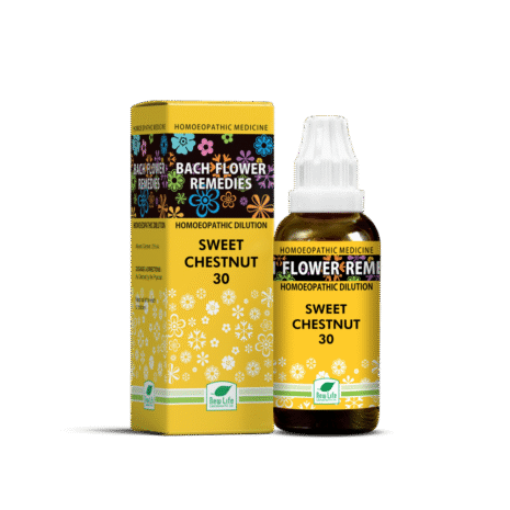 new20life20bach20flower20remedies20sweet20chestnut-1000x1000-1.png