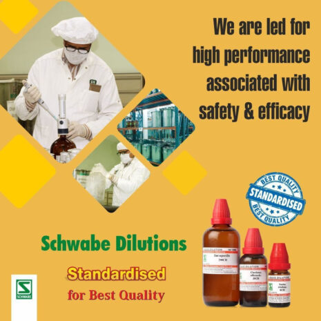 A laboratory technician prepares herbal dilutions in a sterile environment, emphasizing safety and efficacy. The image showcases Schwabe's standardized products, highlighting their commitment to quality.
