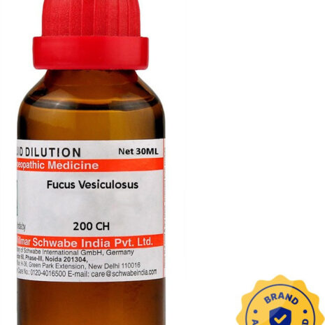 30ml bottle of Fucus Vesiculosus homeopathic remedy with red cap and authenticity seal.