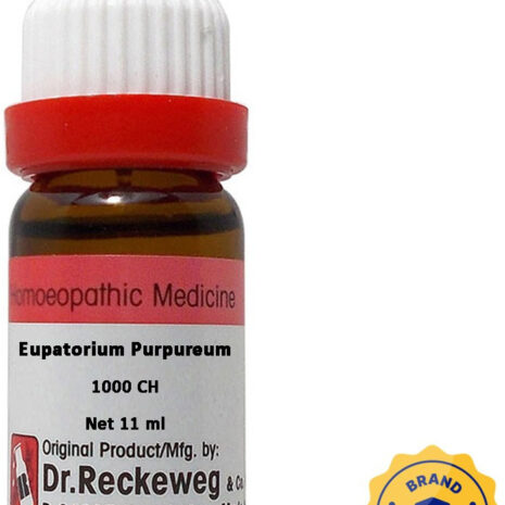 original-imagg5qegykjwgjy.jpeg original-imagg5qegykjwgjy.jpeg