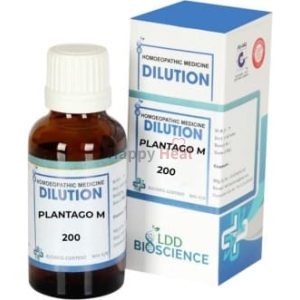 Bottle of Plantago M 200 dilution from LDD Bioscience with labeled box and dropper cap.