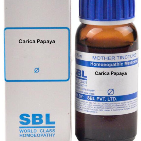 q-carica-papaya-sbl-original-imagyegkyzuymywp.jpeg q-carica-papaya-sbl-original-imagyegkyzuymywp.jpeg