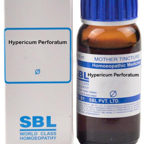 q-hypericum-perforatum-sbl-original-imagyegamnbahazy.jpeg