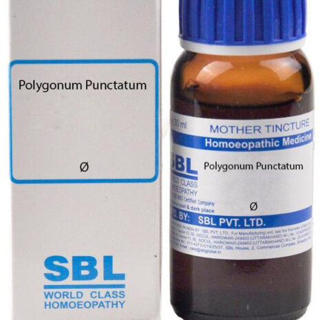 q-polygonum-punctatum-sbl-original-imagy7nyqrrfwqzp.jpeg
