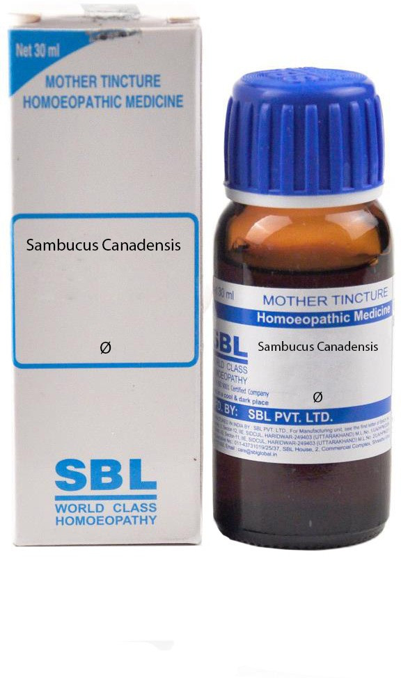 SBL Sambucus Canadensis Q Mother Tincture 30 ml