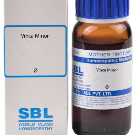 q-vinca-minor-sbl-original-imagy7mzgcxvsd5j.jpeg