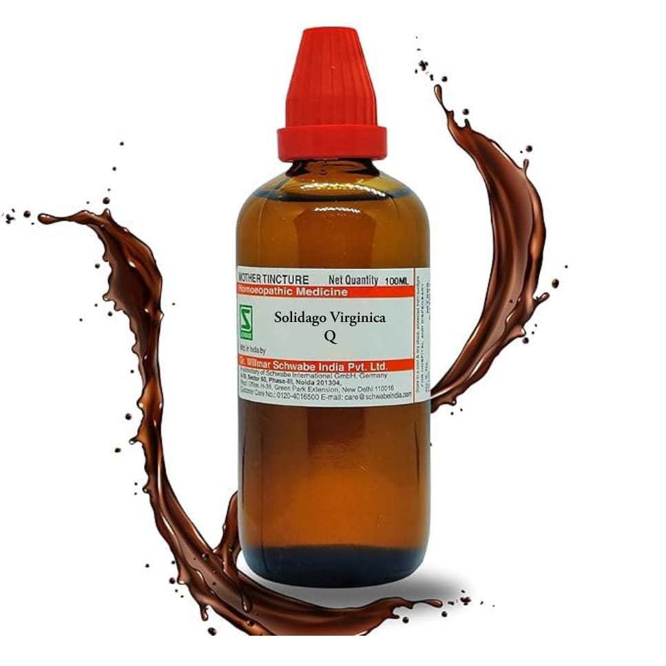A brown glass bottle of Solidago Virginica homeopathic mother tincture, featuring a red cap and a label detailing its medicinal use, with a splash of liquid surrounding the bottle.